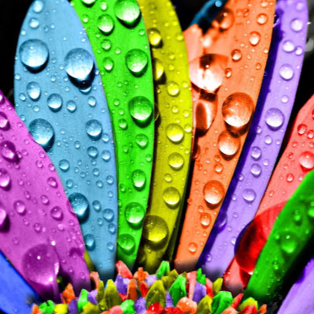 Meet your Posher, Ansley